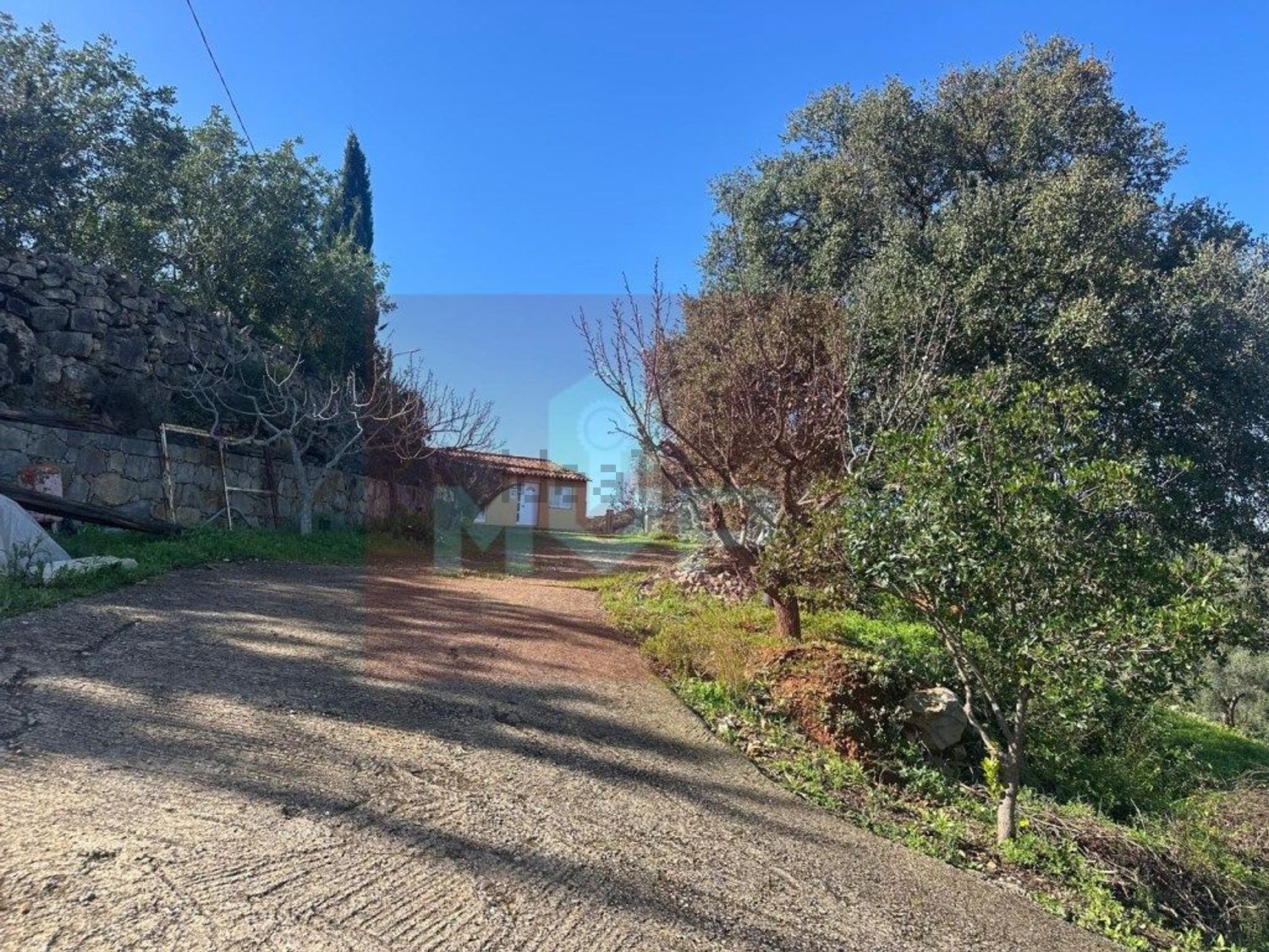 小楼房或独栋别墅出售在Estrada Municipal 517 - 花园