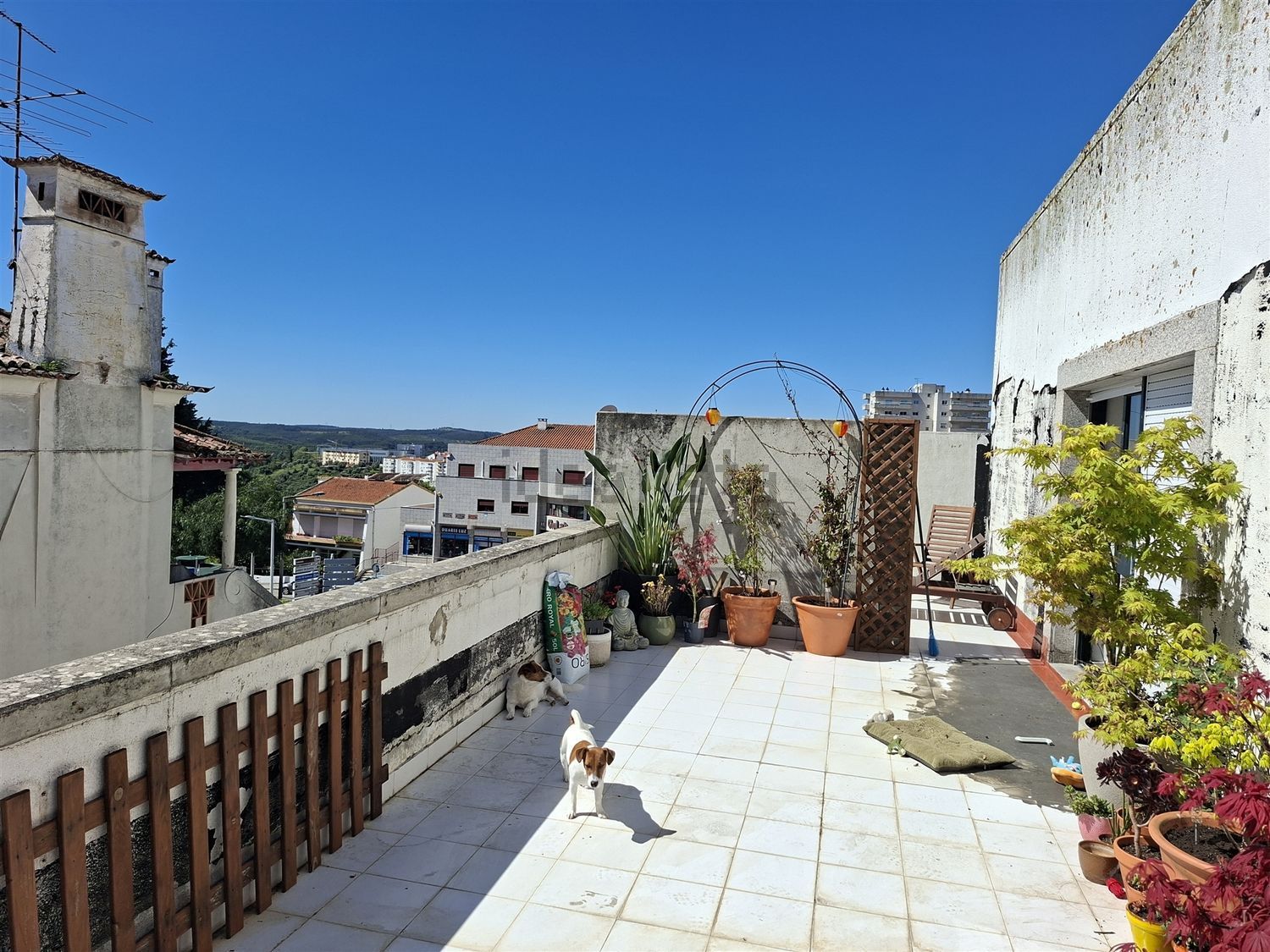 公寓 t2出售在Rua do Montepio Abrantino Es - 露台