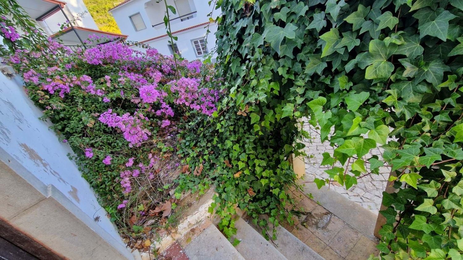 联排别墅出售在Rua de São Luís - 花园