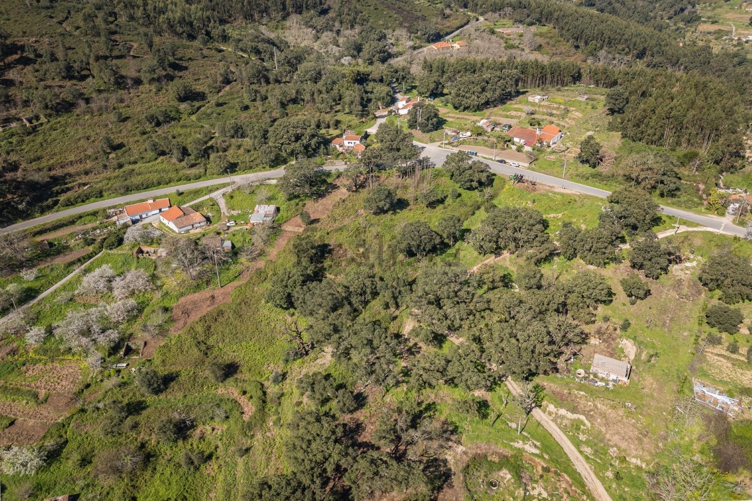 庄园出售在Estrada Sem Nome, 1 - 视线