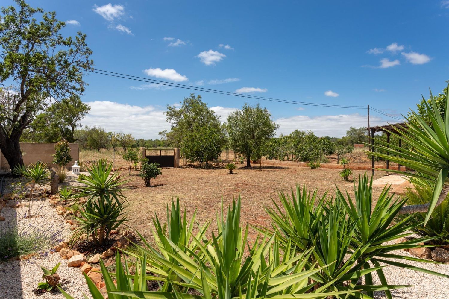 小楼房或独栋别墅出售在Estrada Ribeira de Alte s/n - 周边
