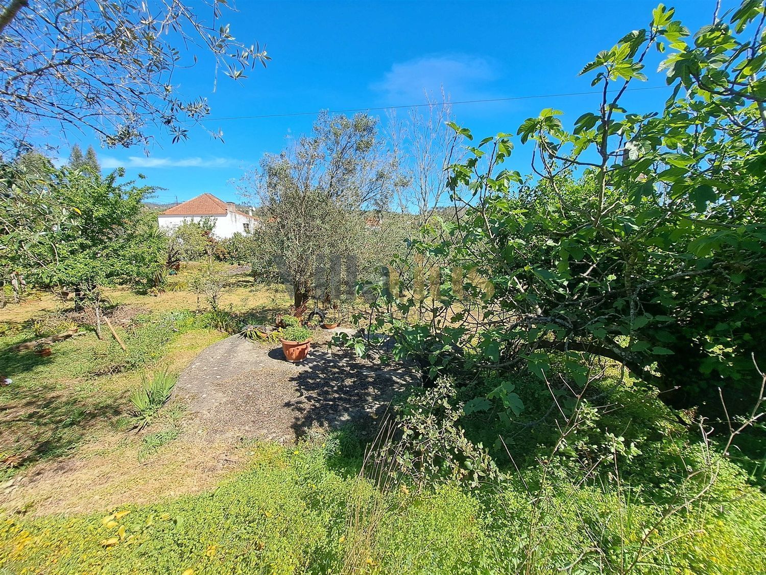 小楼房或独栋别墅出售在Rua Escola, 23 - 花园