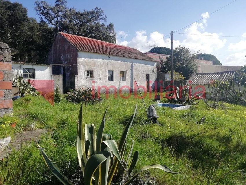 小楼房或独栋别墅出售在Abrigada e Cabanas de Torres
