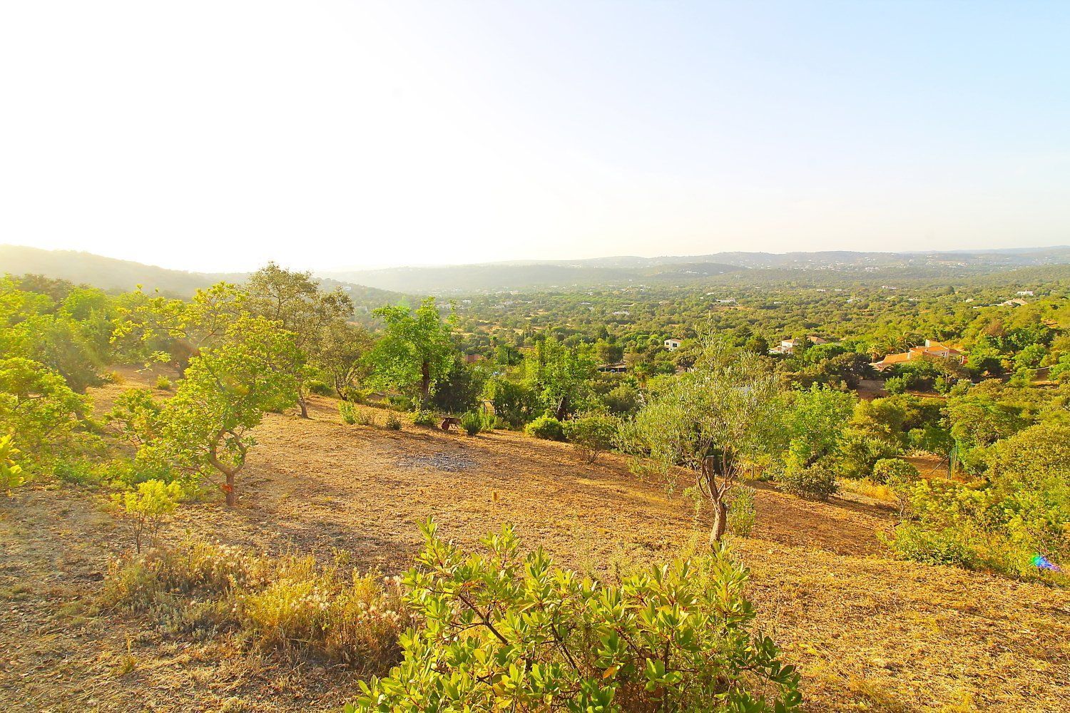 小楼房或独栋别墅出售urb das cercas s/n - 视线