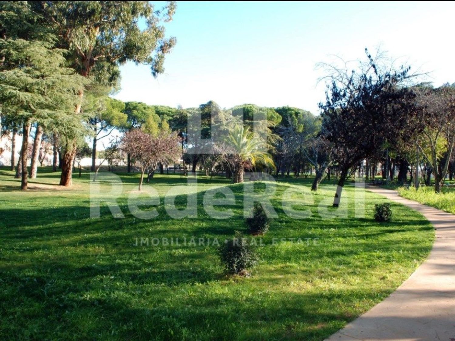 小楼房或独栋别墅出售在Avenida Laginha Serafim - 花园