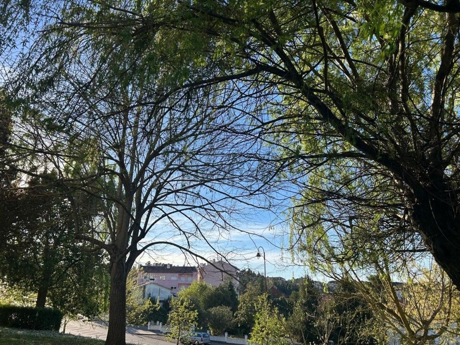 公寓 t2出售在Rua de Cabo Verde - 视线