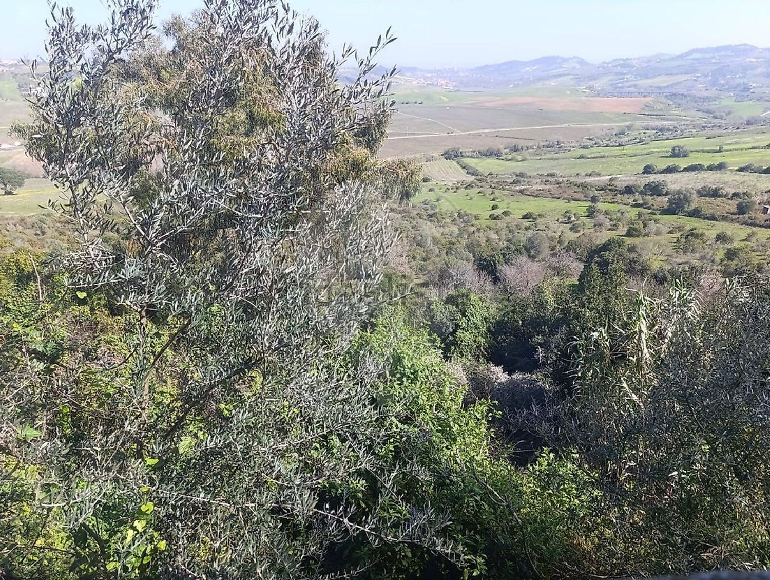 小楼房或独栋别墅出售在Estrada da Quinta da Serra - 视线