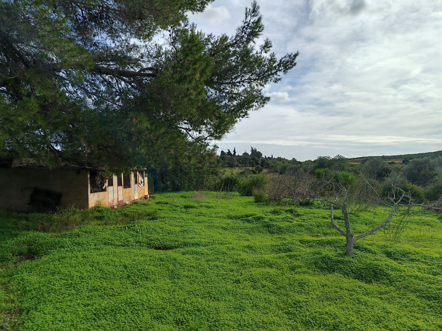 小楼房或独栋别墅出售Sitio de Marrocos, 3 - 花园