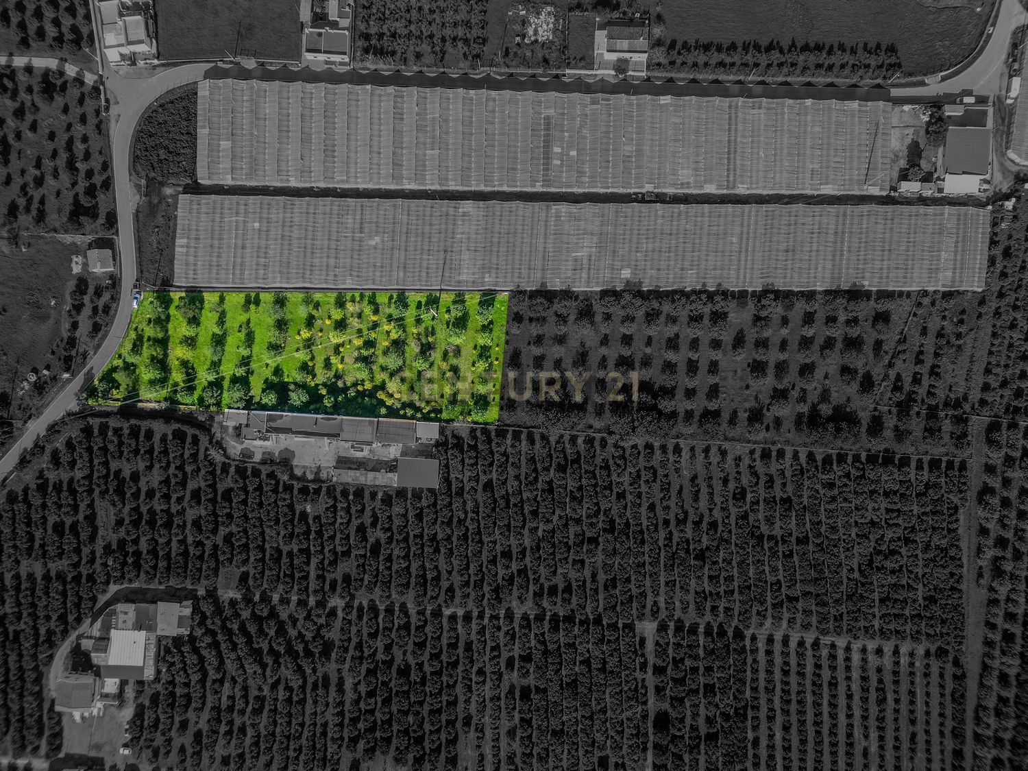 小楼房或独栋别墅出售在Estrada Municipal 520-4 - 平面图