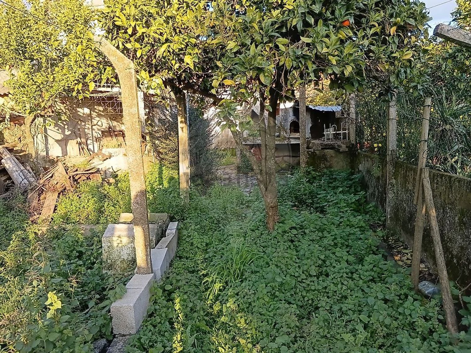 小楼房或独栋别墅出售Lg. do Espírito Santo - 花园