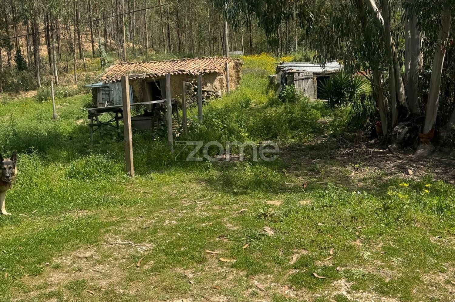 小楼房或独栋别墅出售在Estrada Sem Nome - 详情