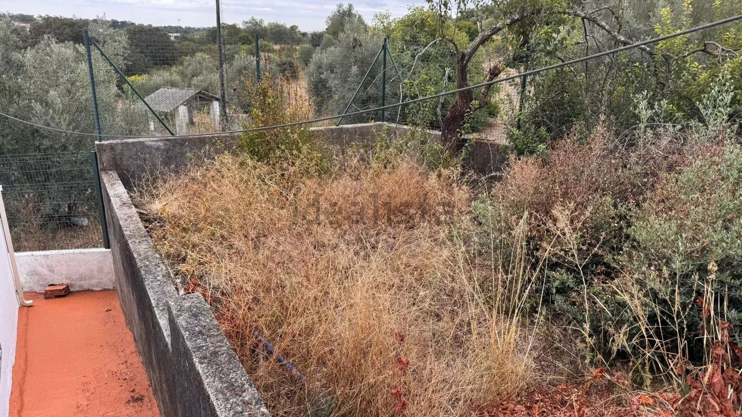 小楼房或独栋别墅出售在Rua Ponte Romana - 花园