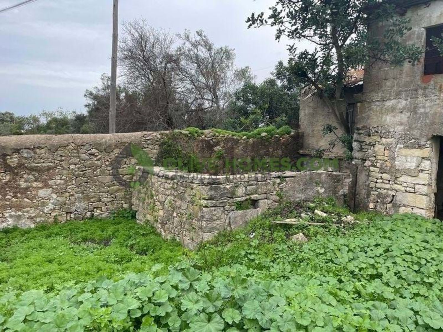 小楼房或别墅出售在Rua de Cruz da Assumada - 花园