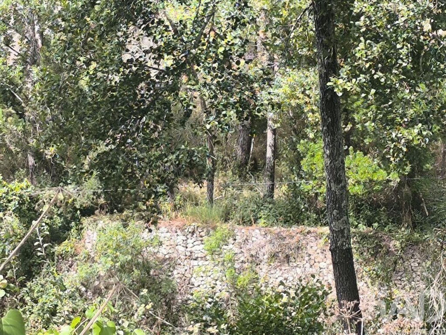 小楼房或别墅出售在Casais e Alviobeira - 周边
