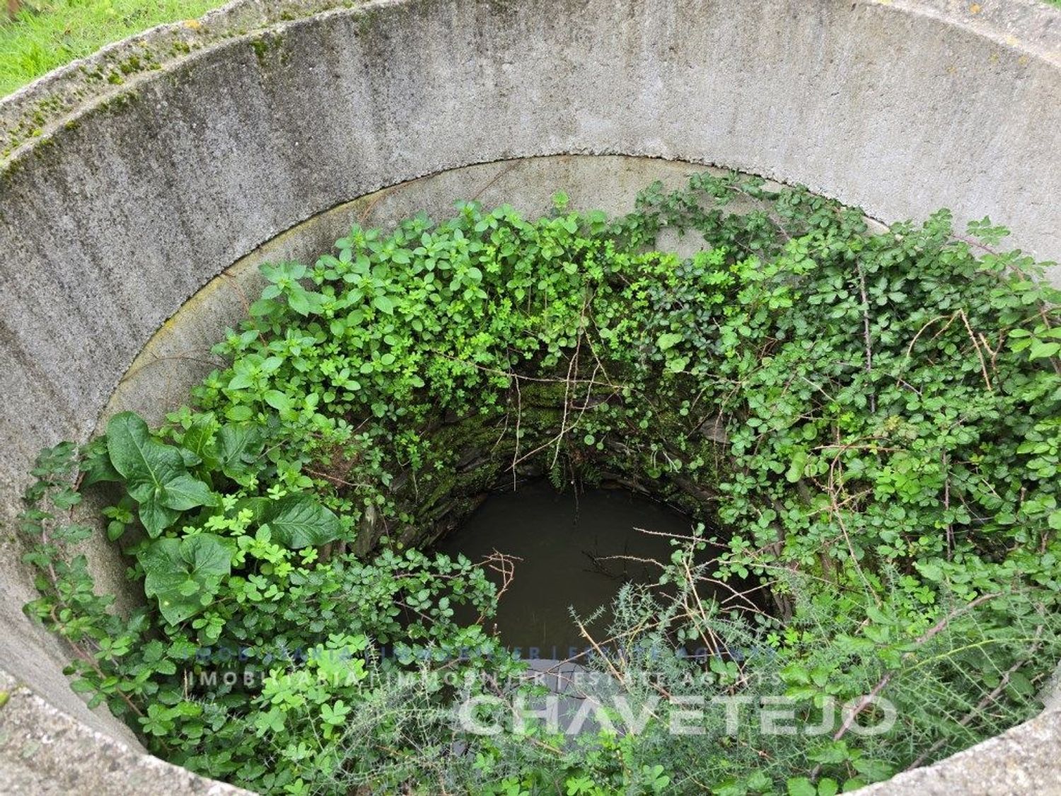 小楼房或独栋别墅出售在Serra - 花园