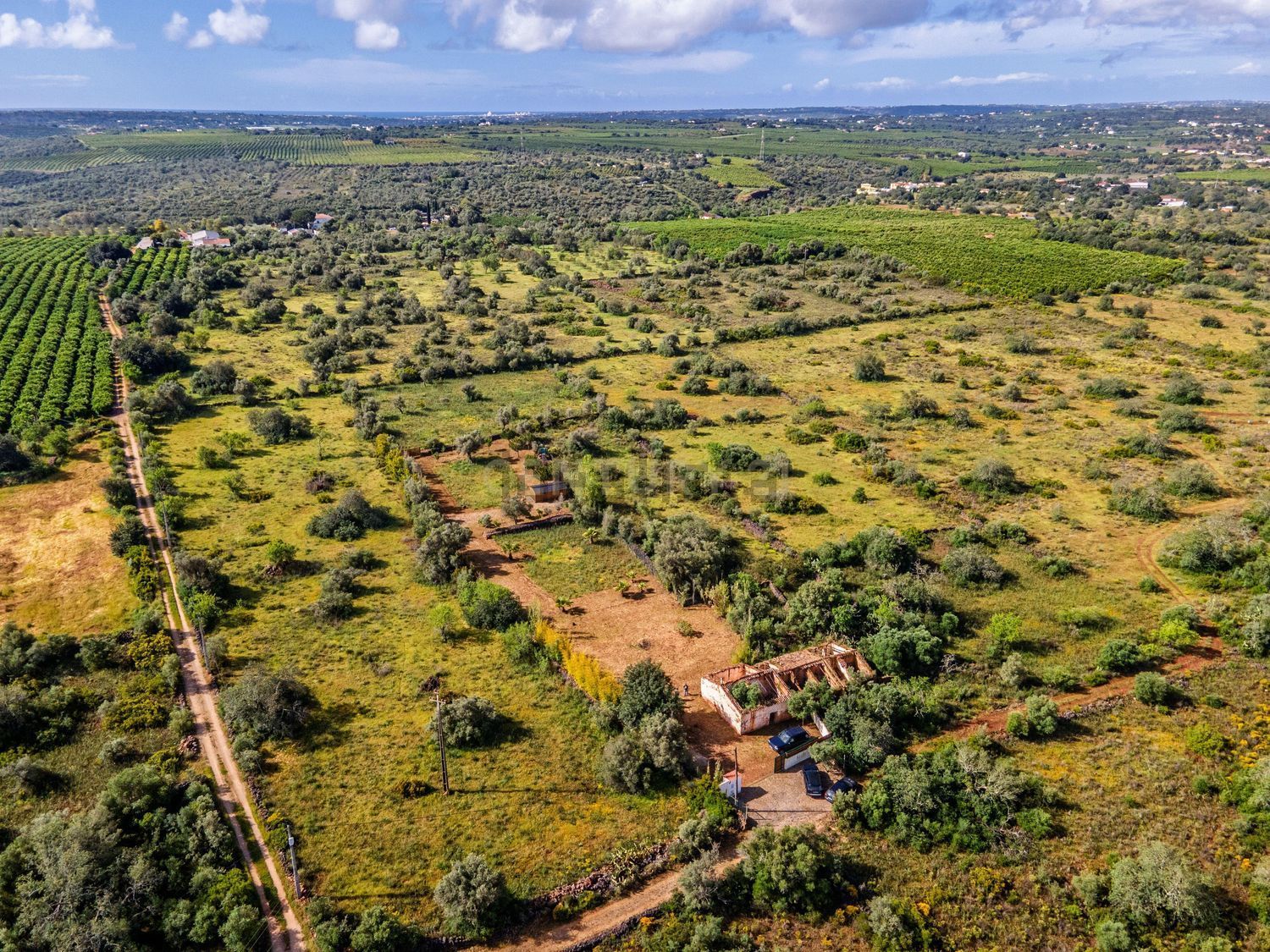 小楼房或独栋别墅出售Aivados e Fontes, Alcantarilha, Portugal - 视线