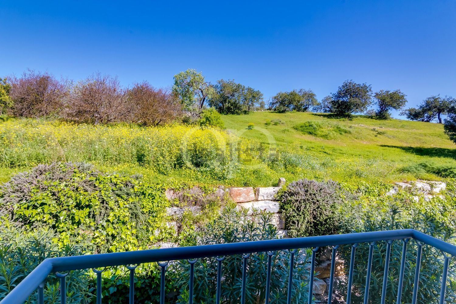 小楼房或别墅出售在Caminho da soalheira - 花园