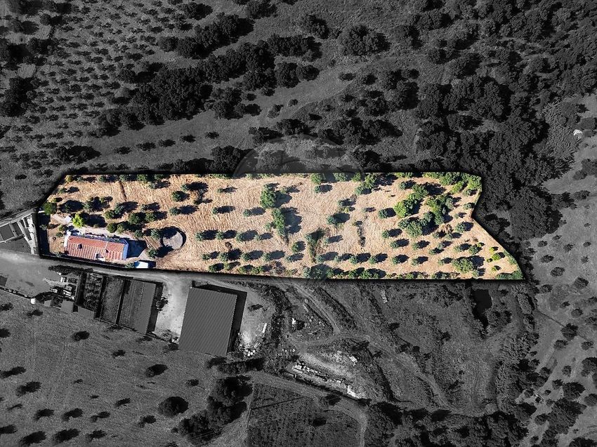 庄园出售在Estrada da Balsa