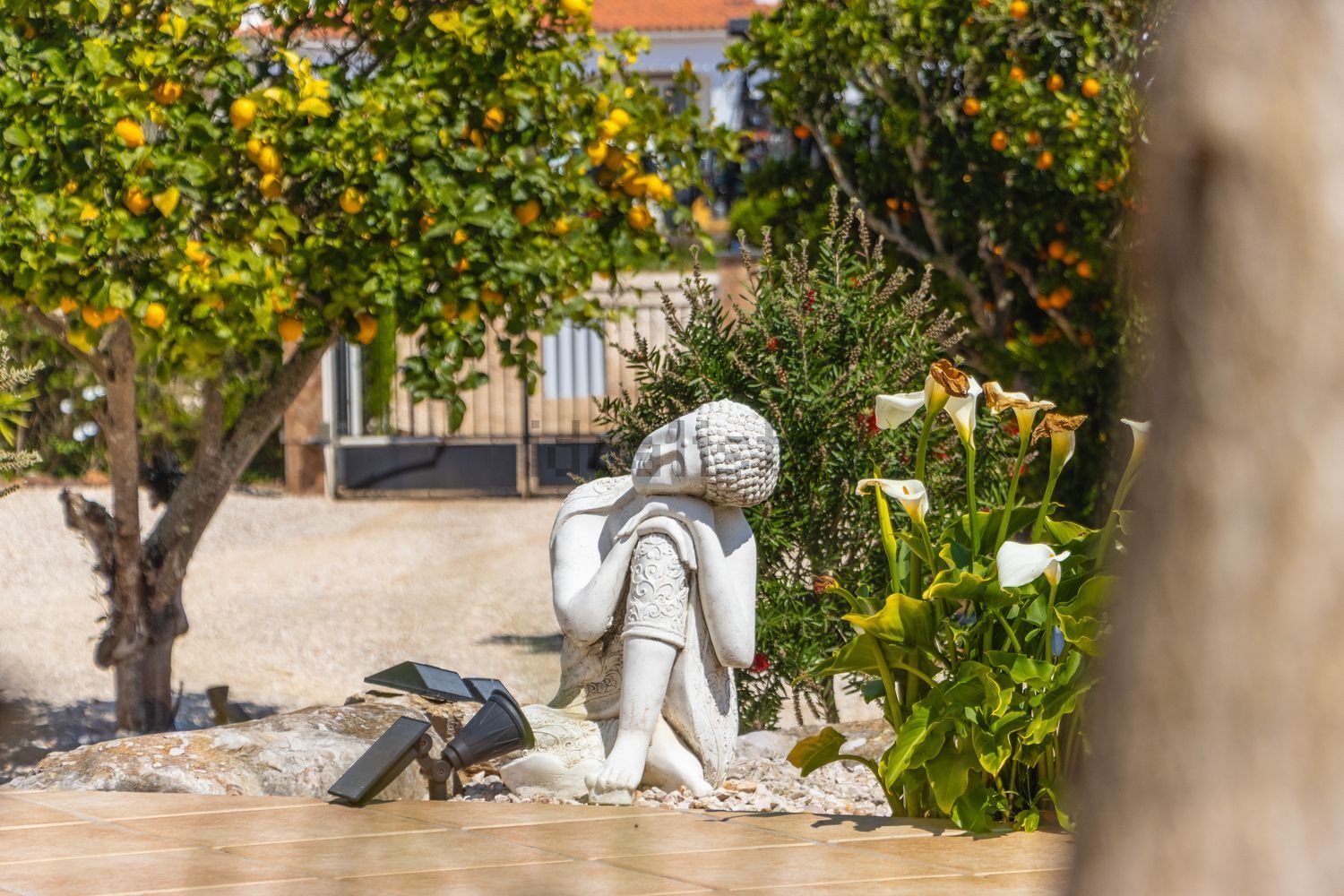 小楼房或独栋别墅出售Quinta Da Terra Nova , Terra das Almas - 照片