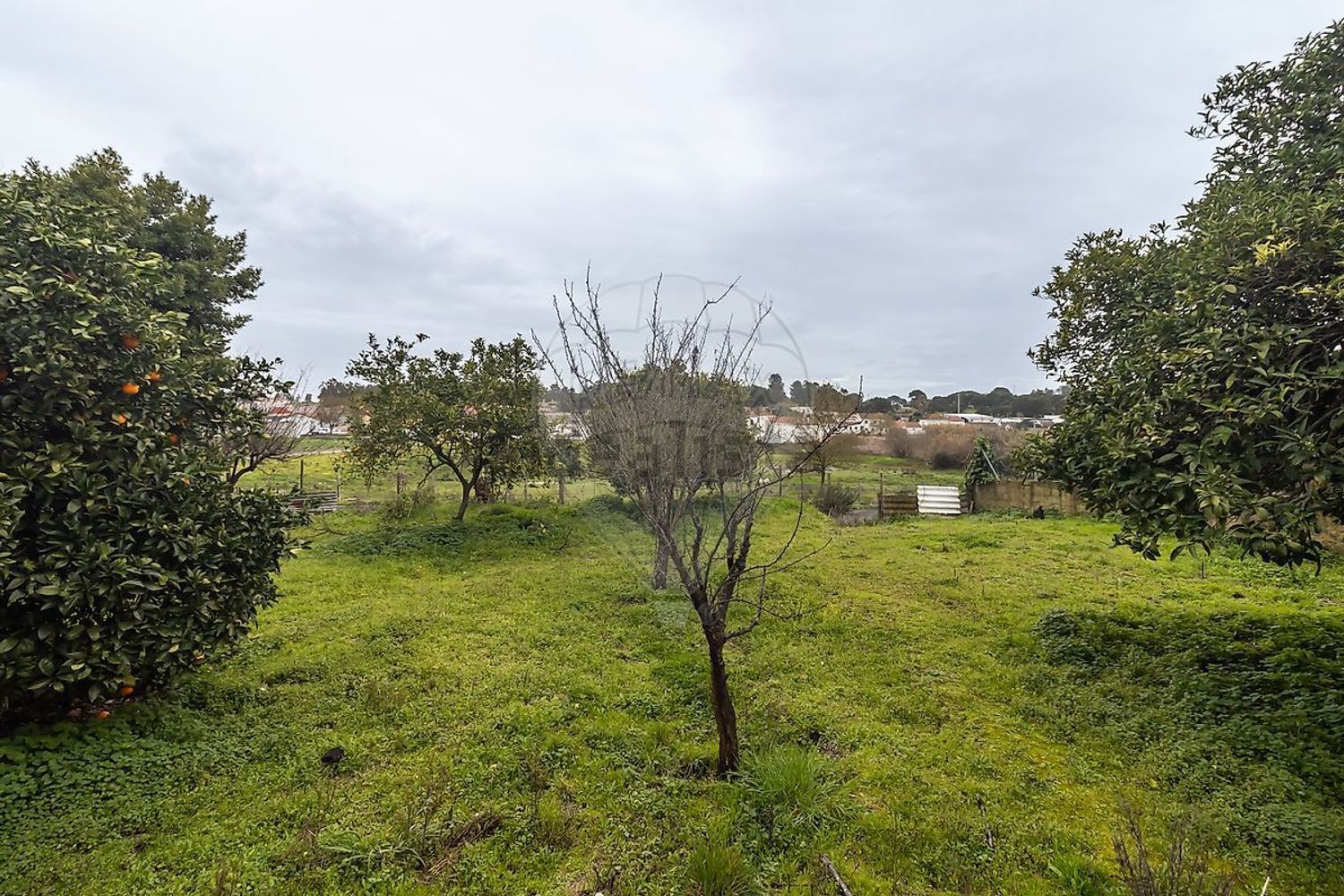 小楼房或独栋别墅出售在Caminho do Monte da Formosa - 花园