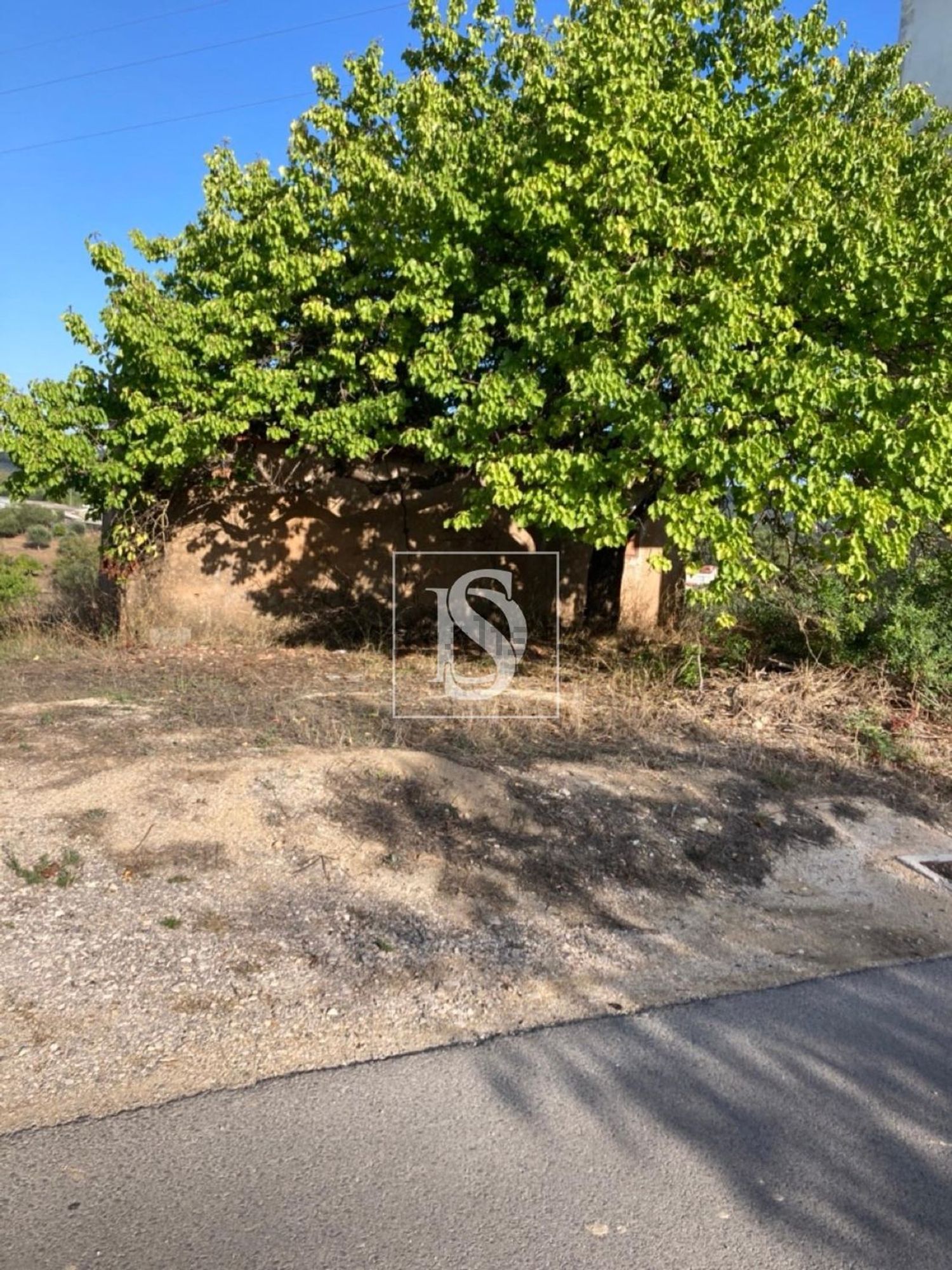 小楼房或独栋别墅出售在Tomar e Santa Maria dos Olivais - 花园