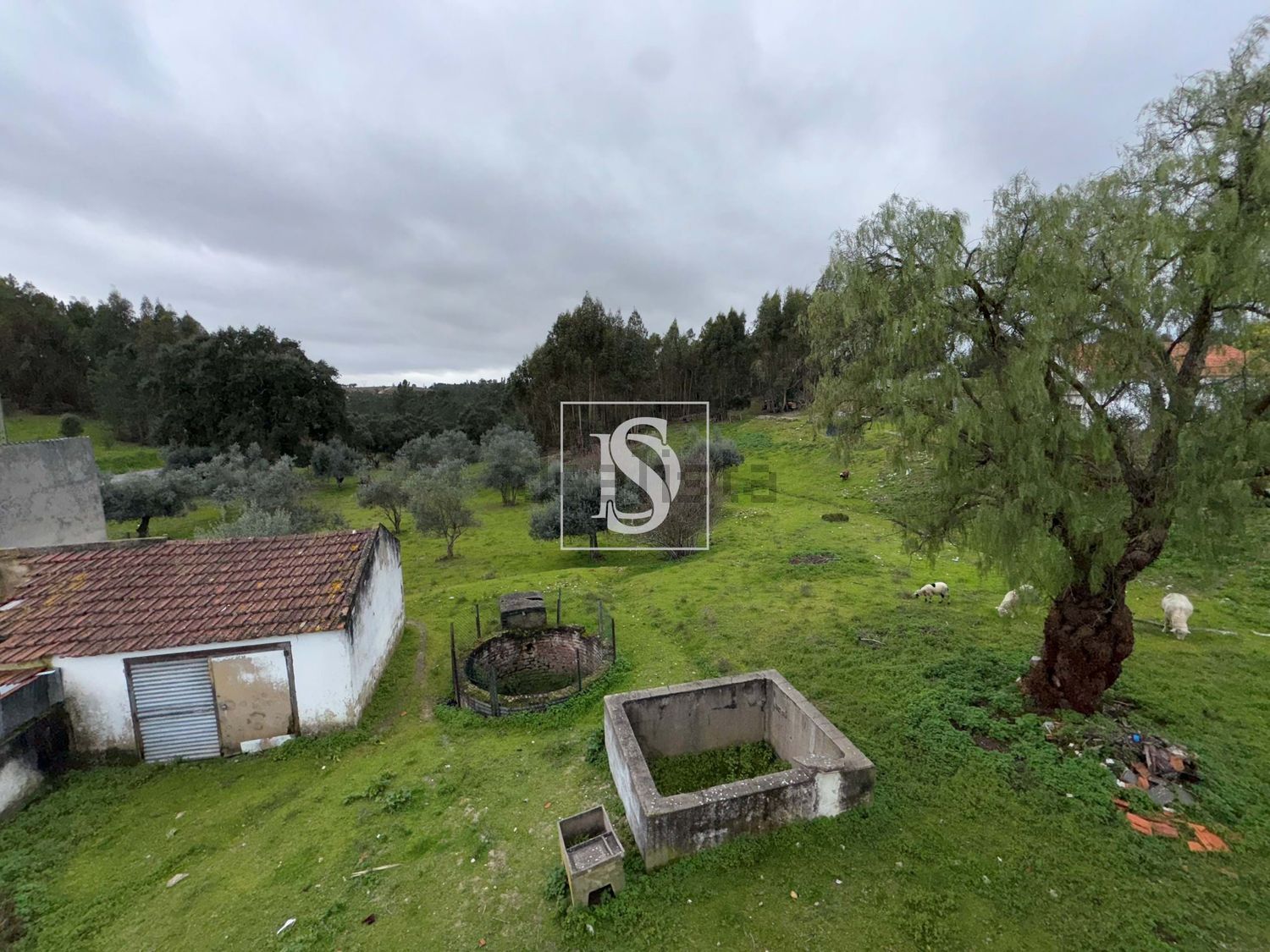 小楼房或别墅出售在Constância - 照片