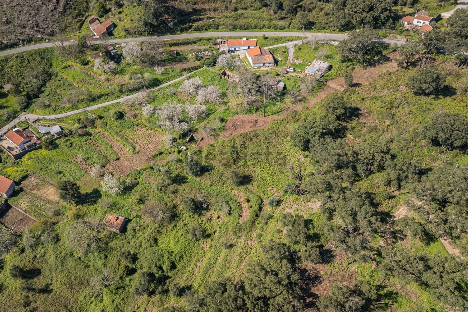 庄园出售在Estrada Sem Nome, 1 - 视线