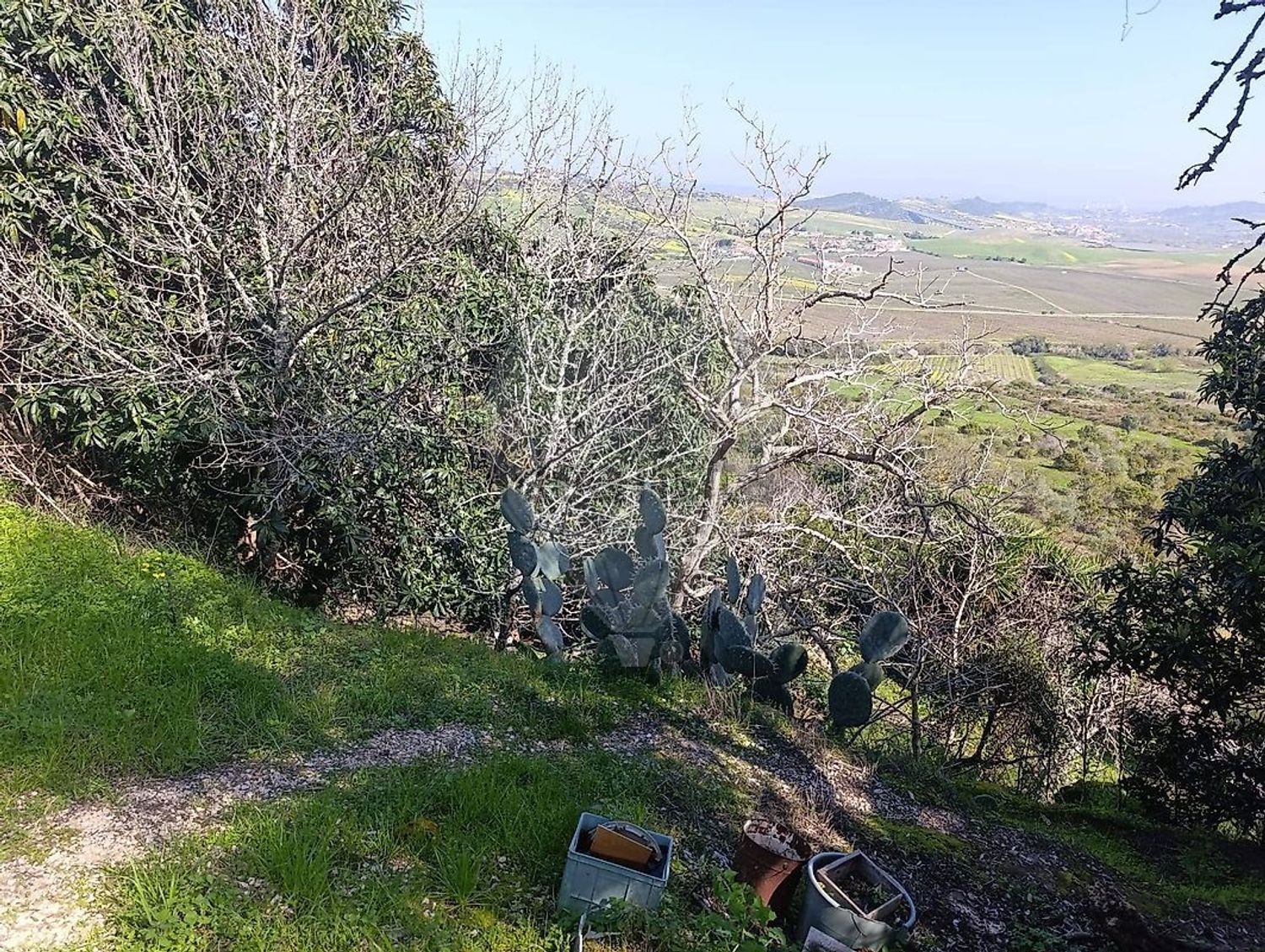 小楼房或独栋别墅出售在Estrada da Quinta da Serra - 花园