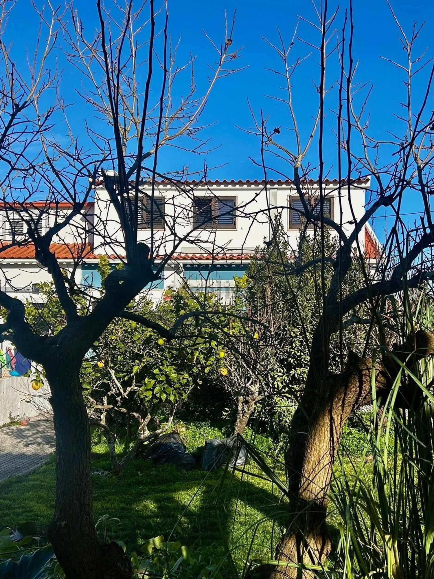 出租双拼别墅在Rua Alto do Mirouço, 9 - 花园