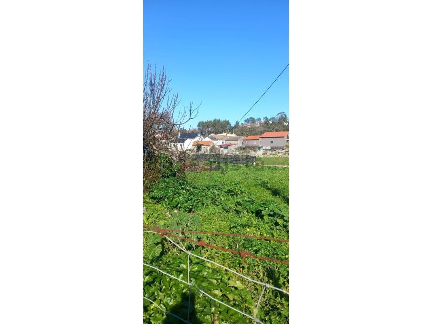 小楼房或独栋别墅出售在Rua José António Sebastião - 花园
