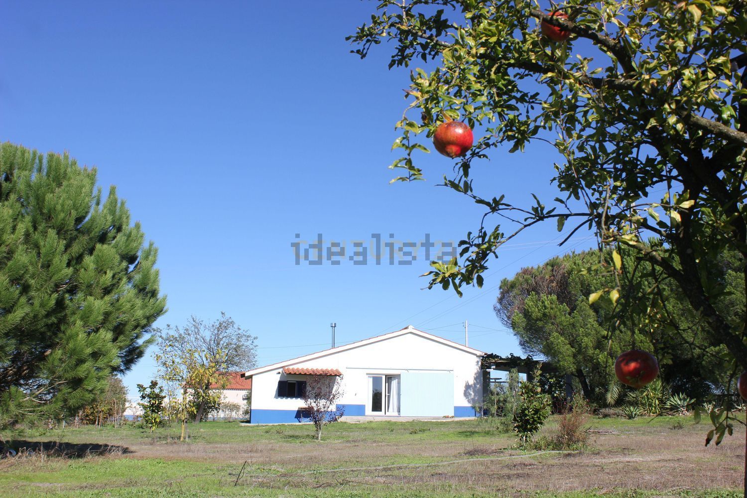 小楼房或独栋别墅出售在Estrada dos Alemães - 外立面