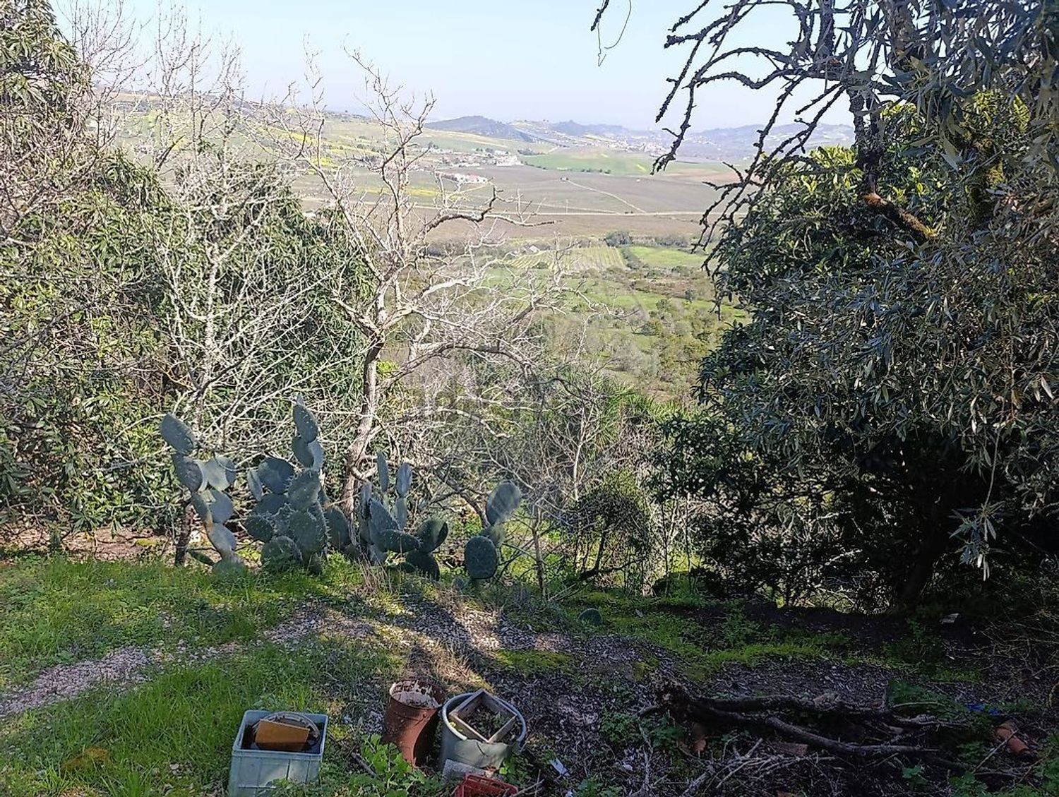 小楼房或独栋别墅出售在Estrada da Quinta da Serra - 花园