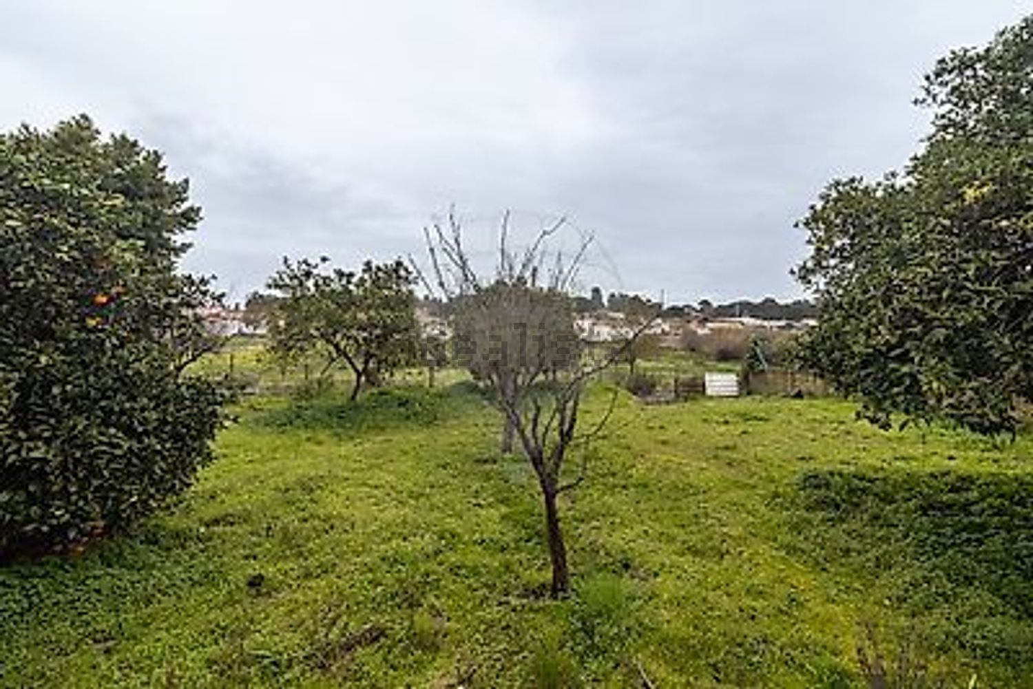 小楼房或独栋别墅出售在Rua da Central Elevatória - 花园
