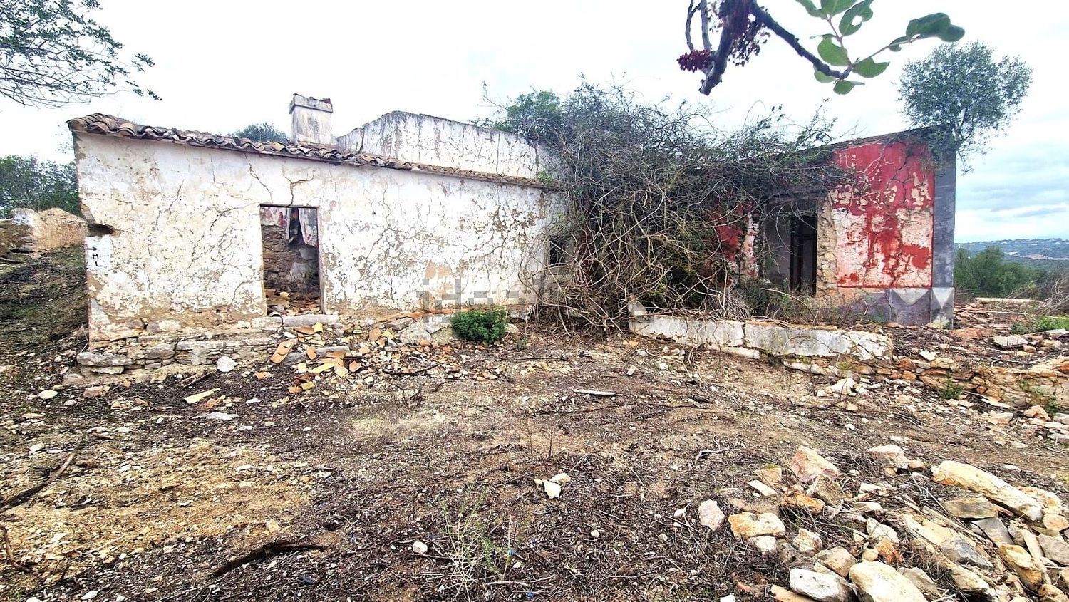 小楼房或独栋别墅出售在Rua Cerro Cabeça de Câmara, 8100-289 Loulé s/n - 花园