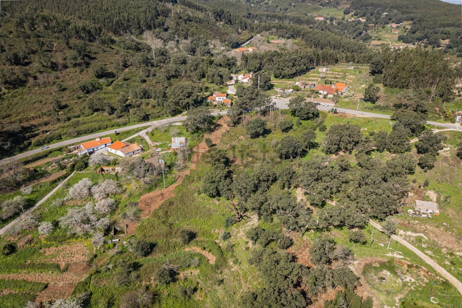 庄园出售在Estrada Sem Nome, 1 - 视线