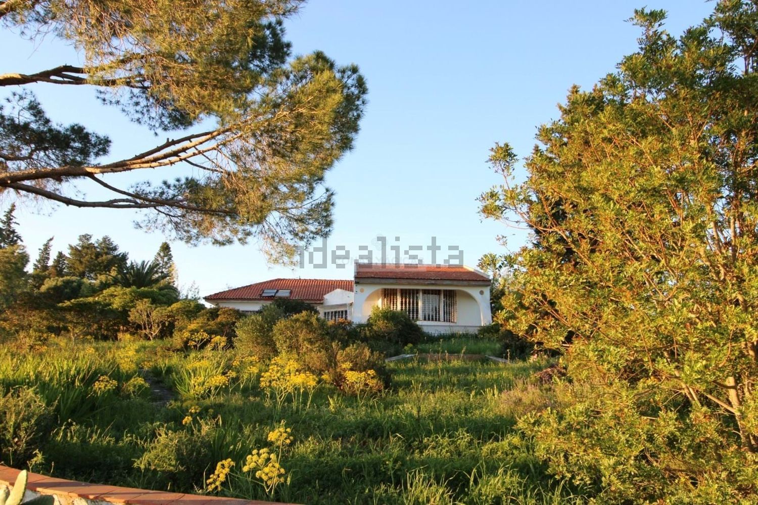 小楼房或别墅出售在Bensafrim e Barão de São João - 外立面