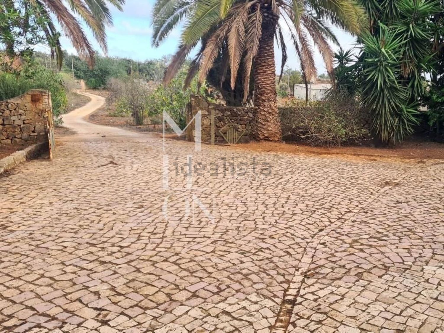 小楼房或独栋别墅出售在Centro de Guia - 花园