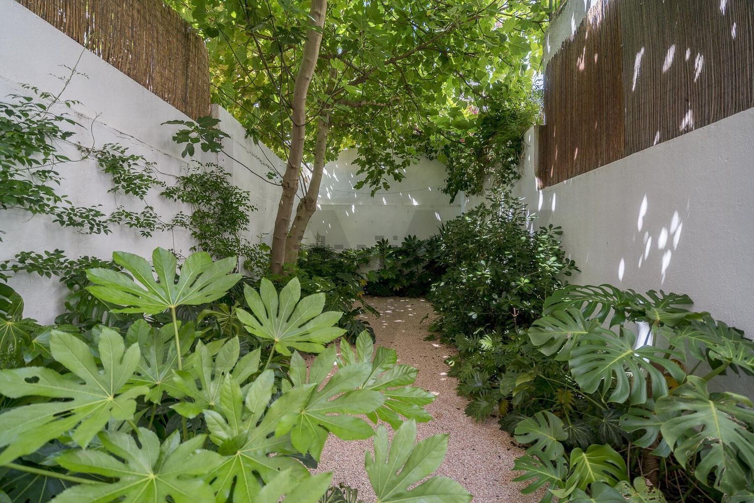 出租公寓 t2在Rua Tenente Ferreira Durão s/n - 花园