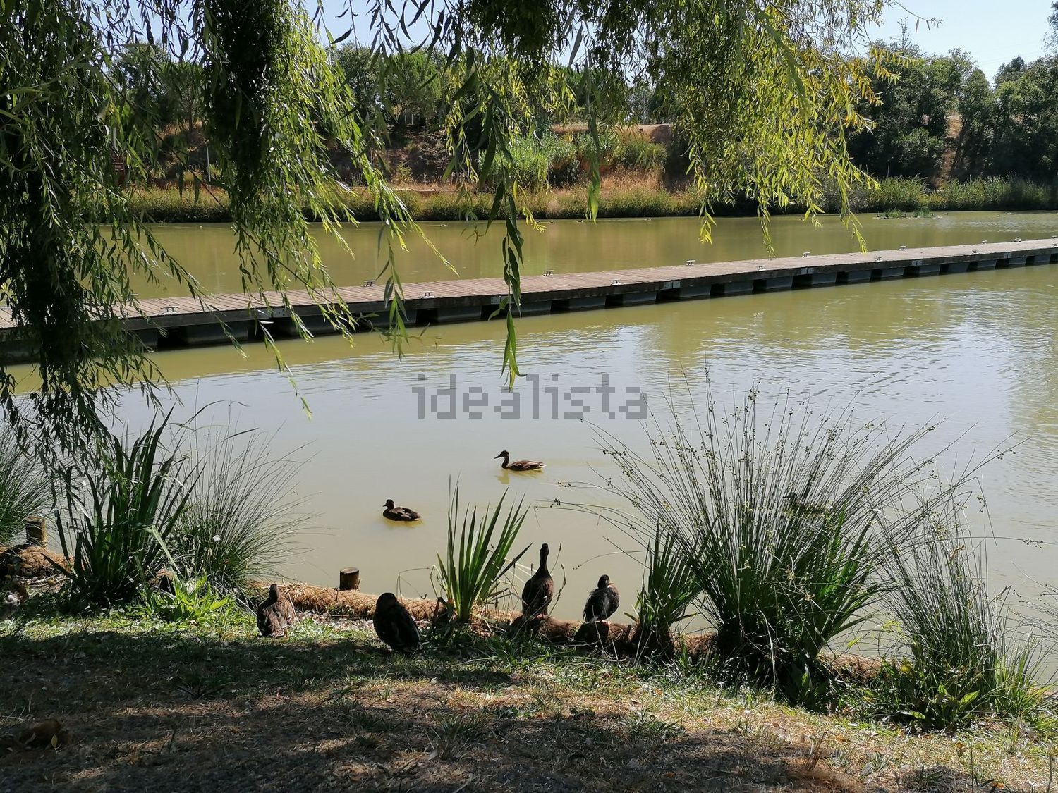 公寓 t3出售在Rua do Choupal, 6 - 花园