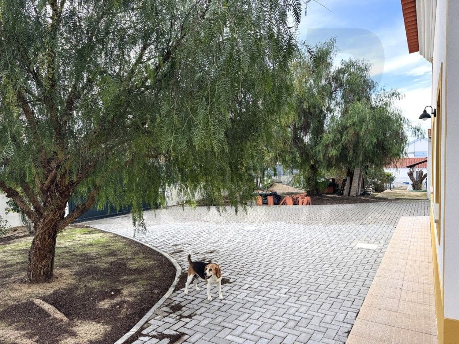 小楼房或独栋别墅出售N251 - 花园