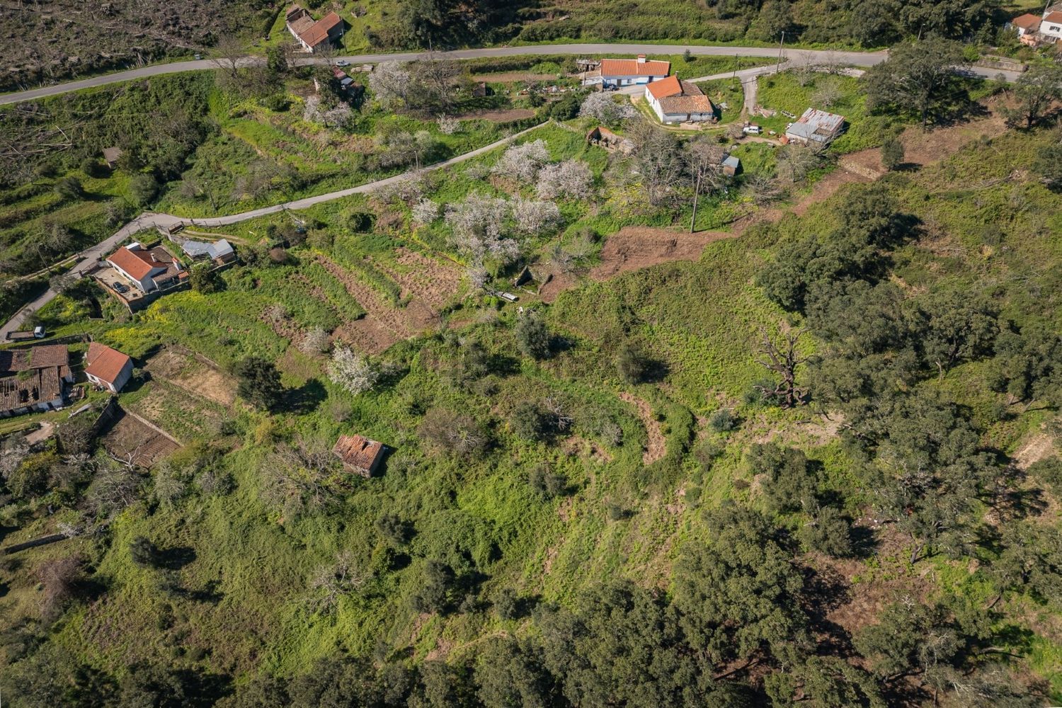 庄园出售在Estrada Sem Nome, 1 - 视线