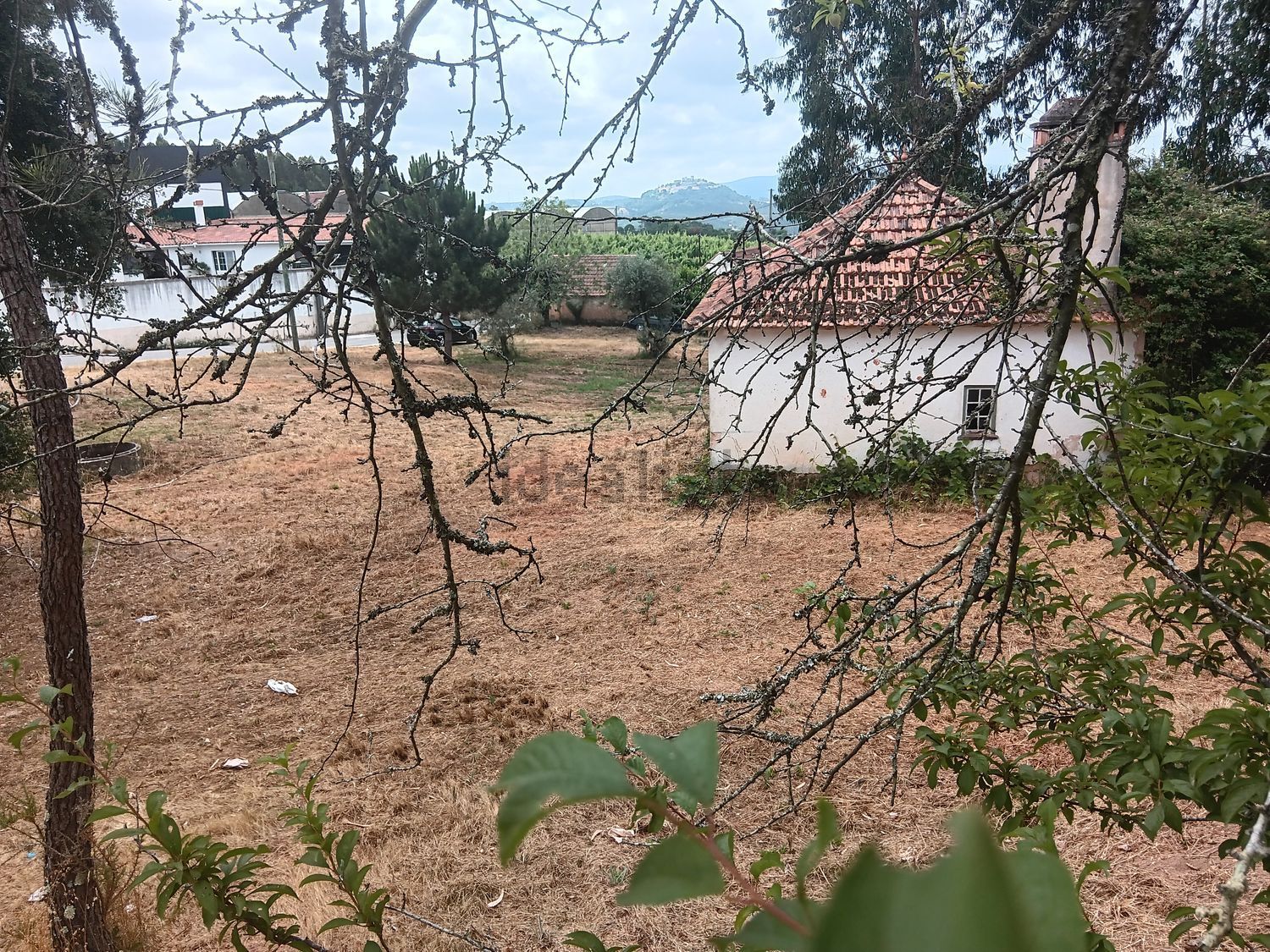 小楼房或独栋别墅出售Casal do Aroeiro, 3 - 花园