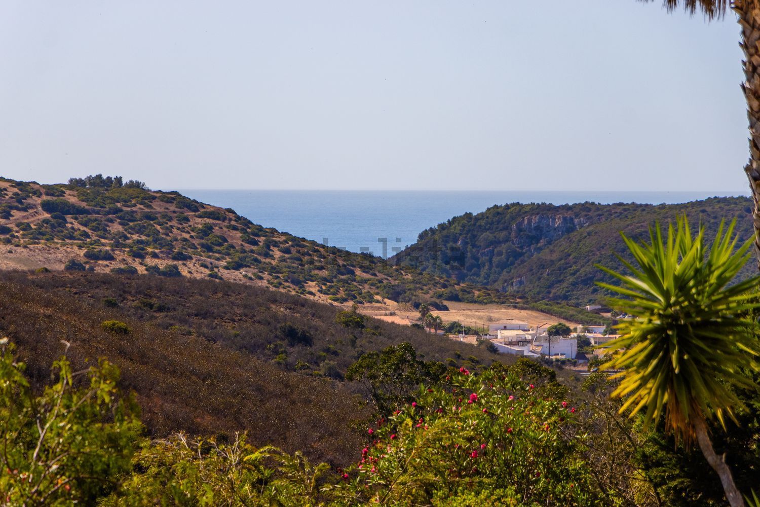 小楼房或独栋别墅出售Parque da Floresta Lote 96 - 视线