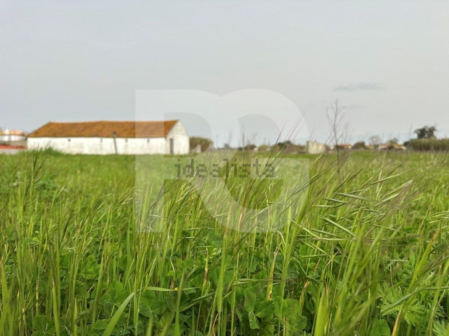 小楼房或独栋别墅出售在Atalaia e Alto Estanqueiro - Jardia - 照片