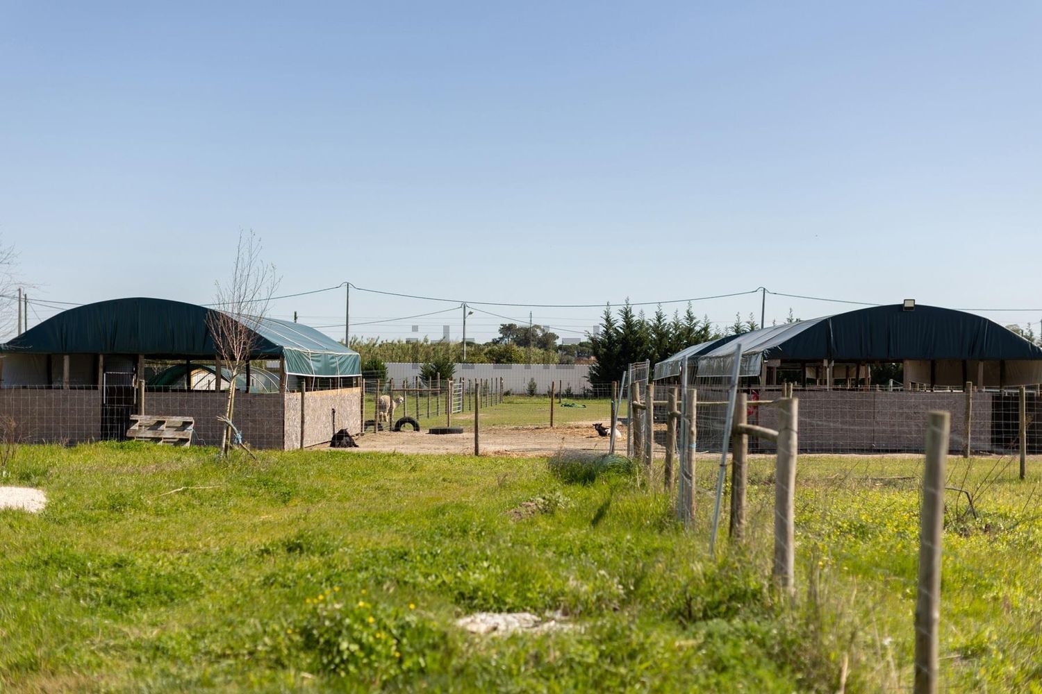 农庄出售在Estrada Vale Porrim s/n - 花园