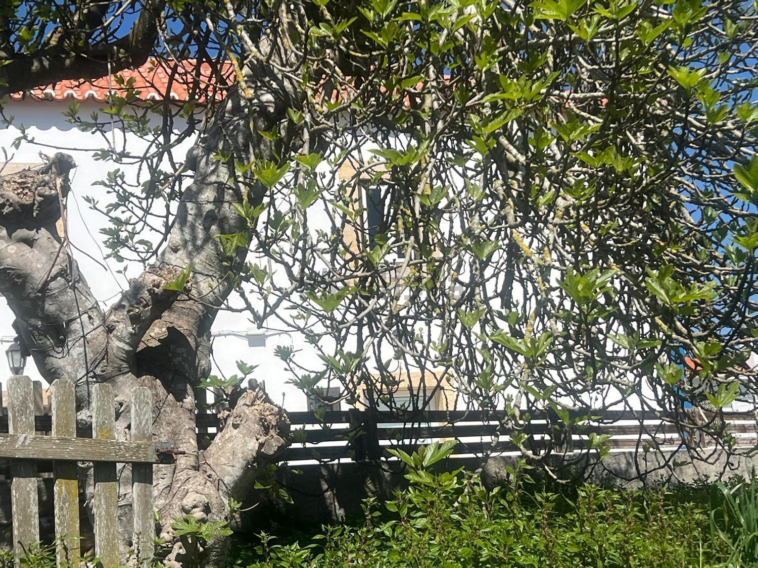 出租小镇楼房在Rua do Alto do Polido, 4 - 视线