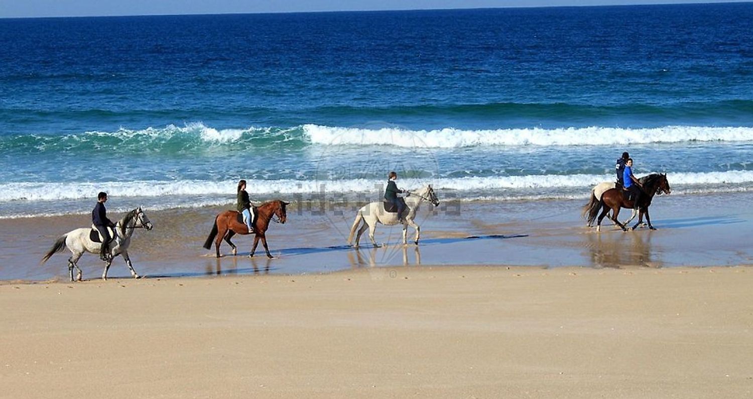 小楼房或独栋别墅出售Er261 - 视线