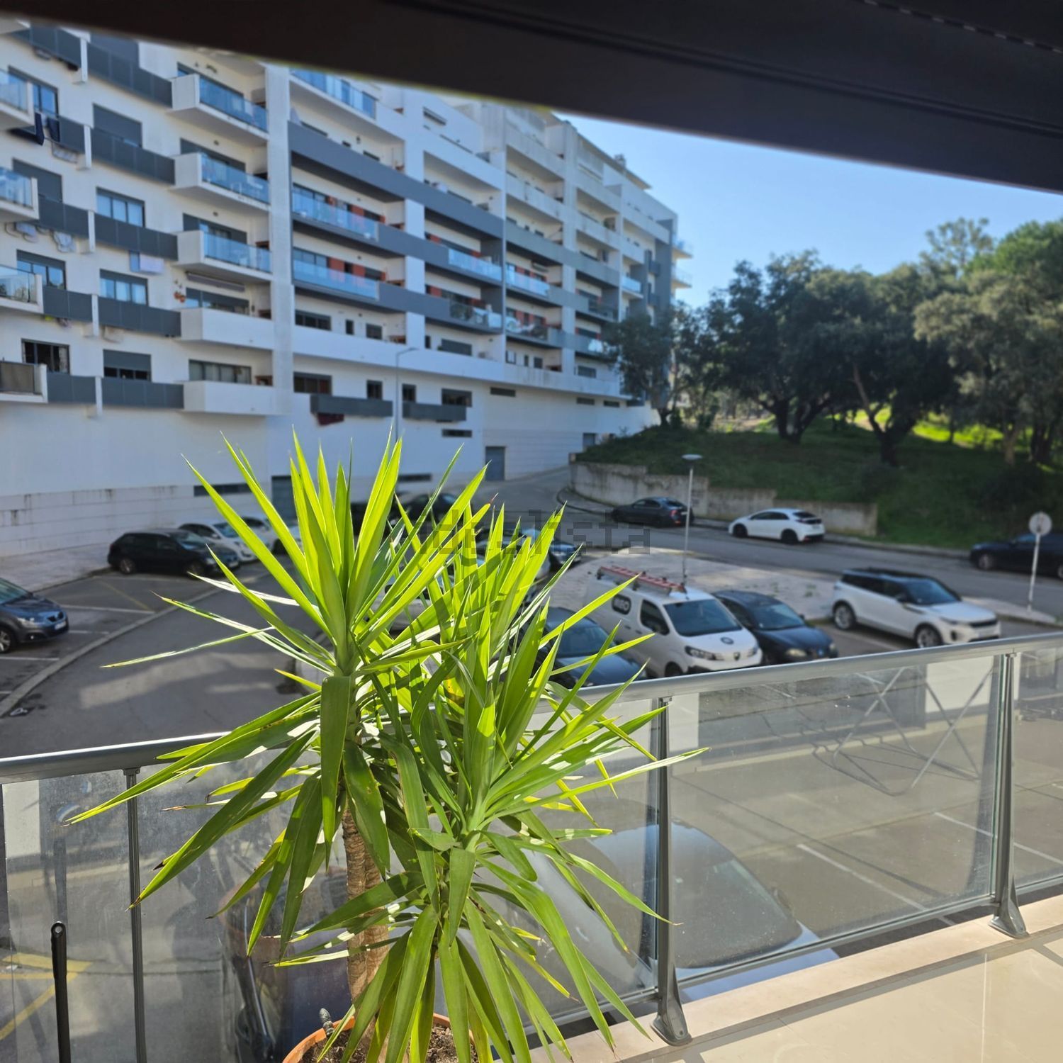 出租公寓 t2在Avenida Dom Afonso Henriques, 28 - 视线