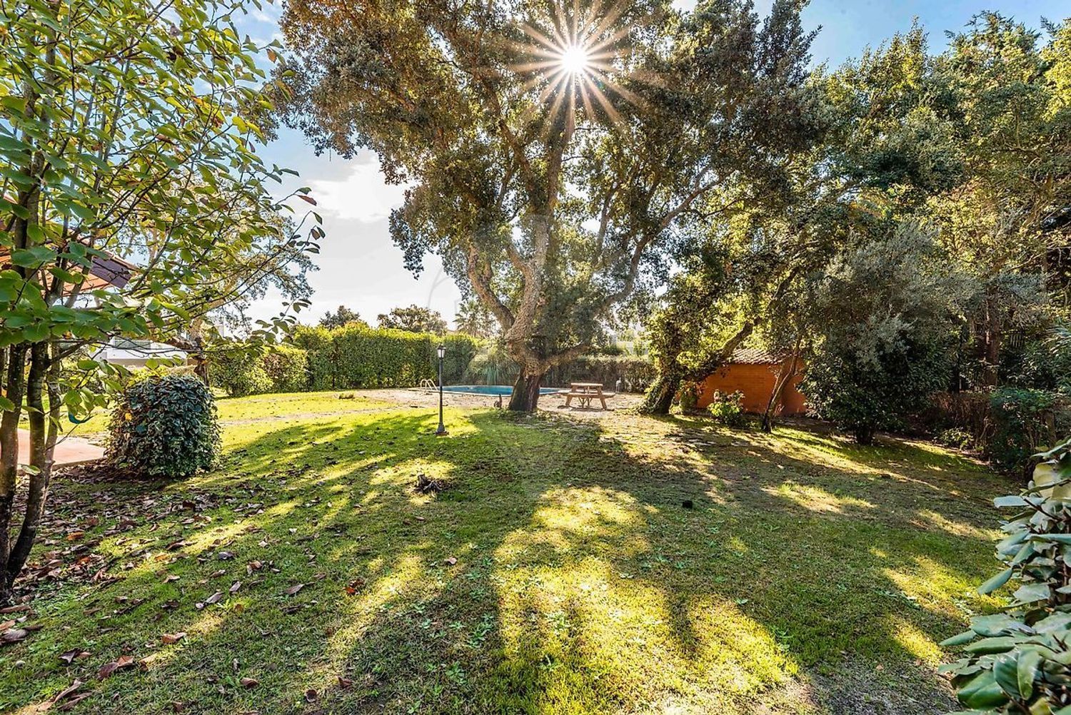 小楼房或独栋别墅出售Ip1 - 花园