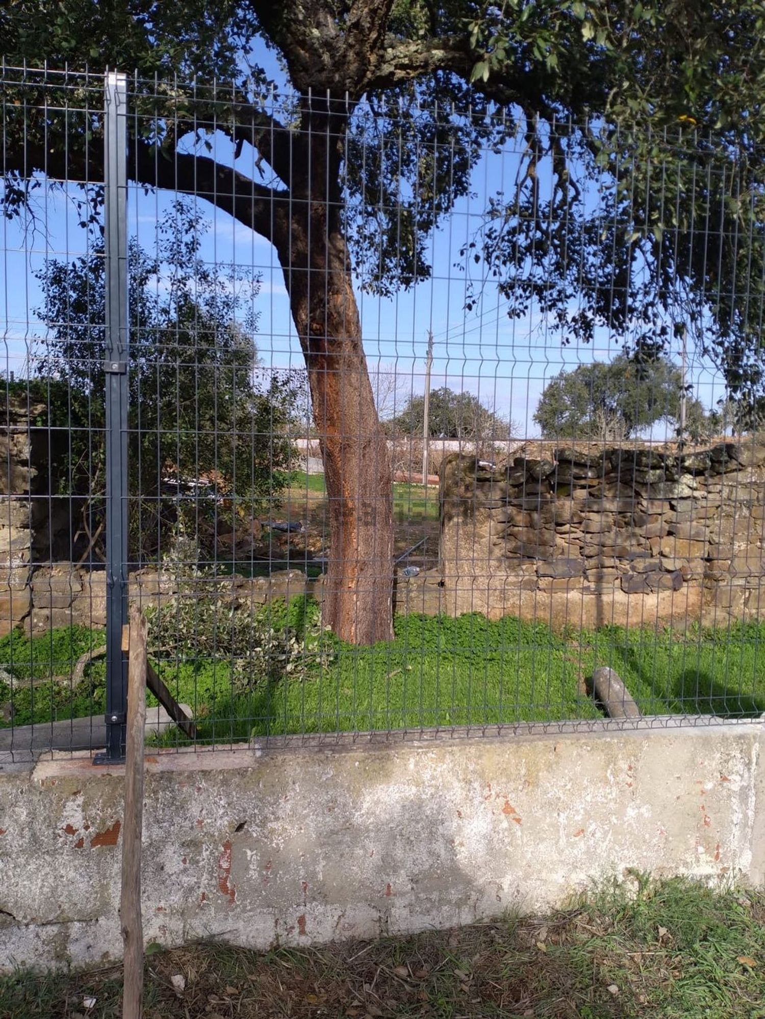 小楼房或独栋别墅出售在Abela - 花园